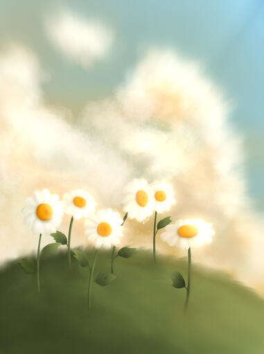 Daisies
